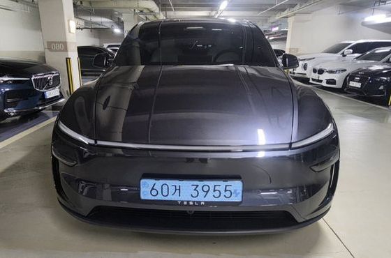 Tesla Model Y RWD — пробег 500 км — фото 1 из 5