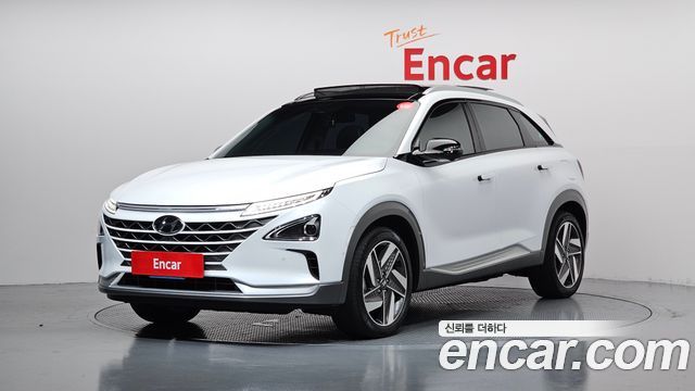 Hyundai Nexo Premium — пробег 70 192 км — фото 1 из 5