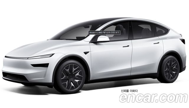 Tesla Model Y из Кореи Encar