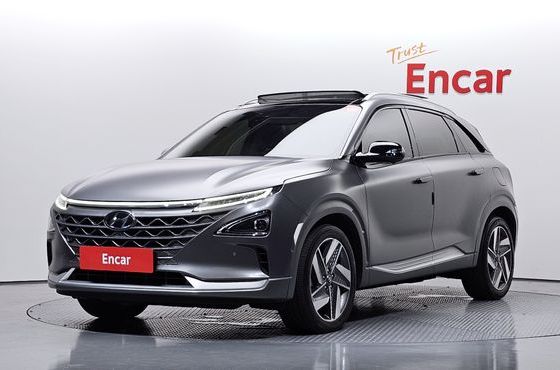 Hyundai Nexo Premium — пробег 72 700 км — фото 1 из 5