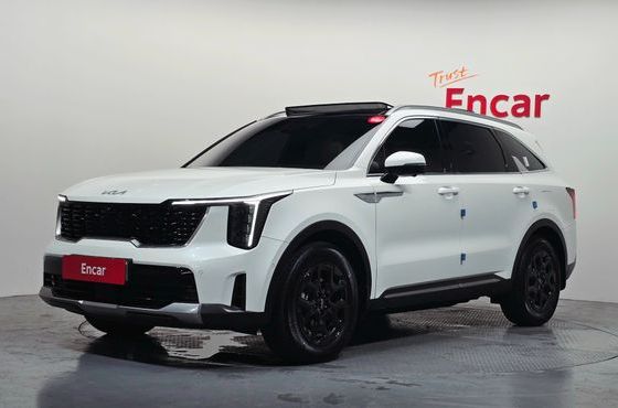 Kia Sorento HEV 1.6 2WD Signature — пробег 28 742 км — фото 1 из 5
