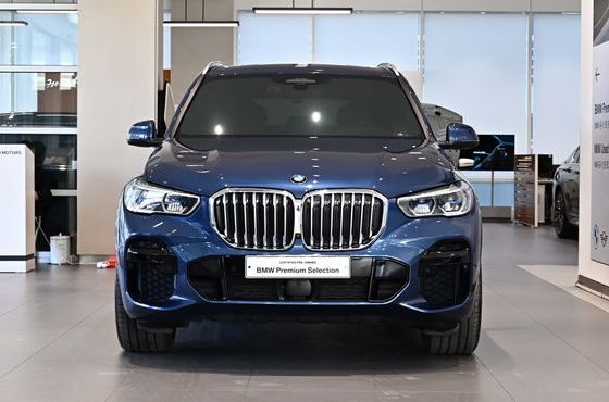 BMW X5 xDrive 40i M Sport — пробег 87 239 км — фото 3 из 5