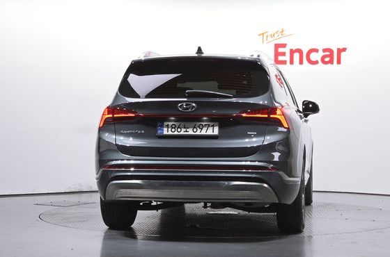 Hyundai Santafe HEV 1.6 4WD Calligraphy — пробег 49 513 км — фото 4 из 5