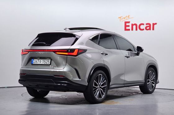 Lexus NX Luxury — пробег 17 685 км — фото 2 из 5
