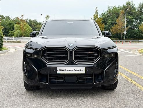 BMW XM 4.4 — пробег 30 538 км — фото 3 из 5