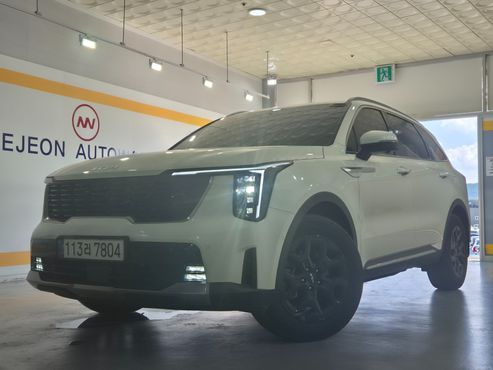Kia Sorento HEV 1.6 2WD Gravity — пробег 27 738 км — фото 2 из 5