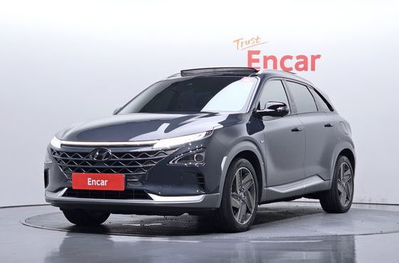 Hyundai Nexo Premium — пробег 102 831 км — фото 1 из 5