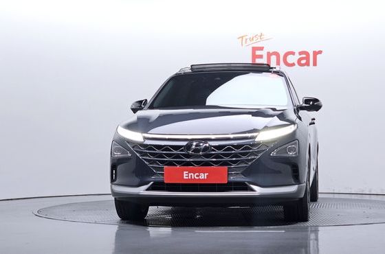 Hyundai Nexo Premium — пробег 102 831 км — фото 3 из 5