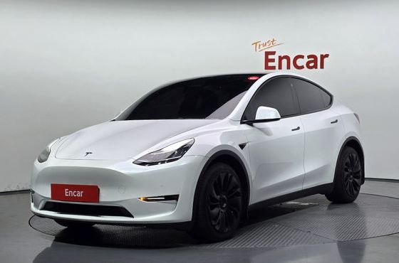 Tesla Model Y Long Range AWD — пробег 98 059 км — фото 1 из 5