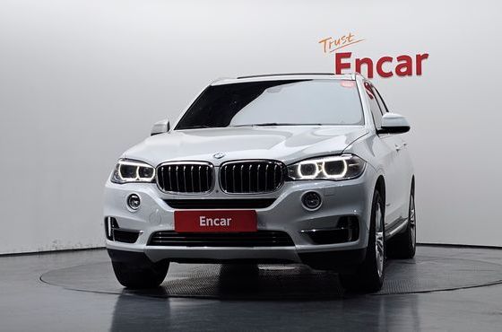 BMW X5 xDrive 30d — пробег 260 552 км — фото 3 из 5
