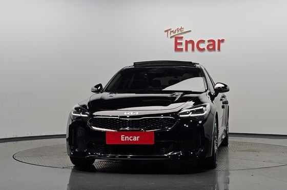 Kia Stinger 2.5 AWD Masters — пробег 128 274 км — фото 3 из 5
