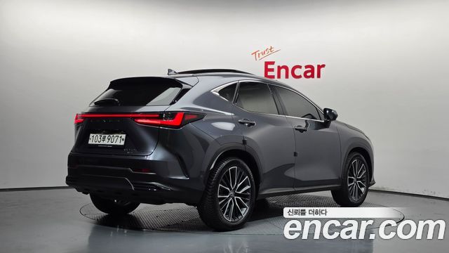 Lexus NX Luxury — пробег 123 063 км — фото 2 из 5