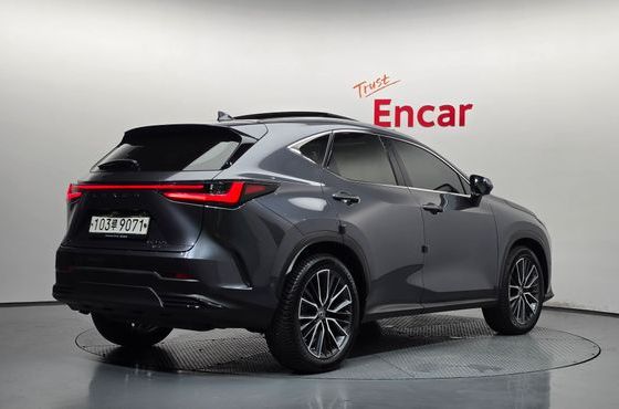 Lexus NX Luxury — пробег 123 063 км — фото 2 из 5
