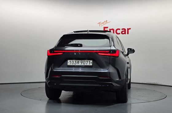 Lexus NX Luxury — пробег 123 063 км — фото 4 из 5