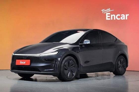 Tesla Model Y Long Range AWD — пробег 26 853 км — фото 1 из 5