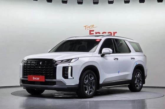 Hyundai Palisade Gasoline 3.8 4WD Le Blanc — пробег 42 240 км — фото 1 из 5
