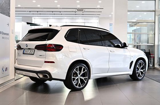 BMW X5 xDrive 40i M Sport — пробег 29 130 км — фото 4 из 5