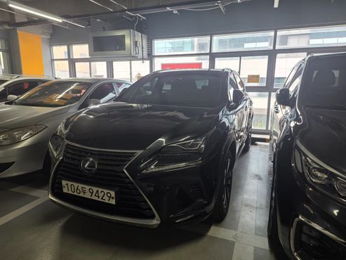 Lexus NX Executive — пробег 99 089 км — фото 1 из 5