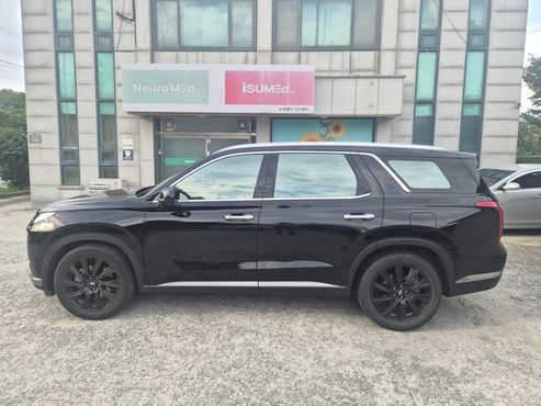 Hyundai Palisade Diesel 2.2 4WD Le Blanc — пробег 131 000 км — фото 4 из 5