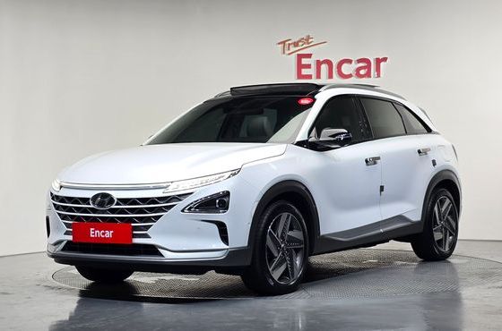 Hyundai Nexo Premium — пробег 37 728 км — фото 1 из 5
