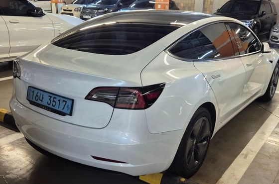 Tesla Model 3 Standard Range Plue RWD — пробег 106 000 км — фото 3 из 5