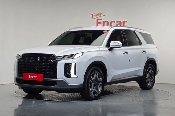 Hyundai Palisade Gasoline 3.8 4WD Le Blanc — пробег 31 530 км — фото 1 из 5
