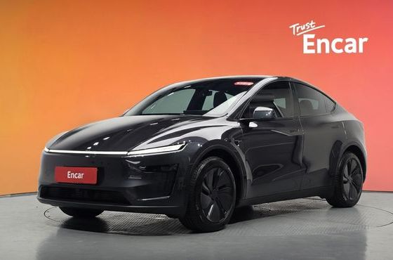 Tesla Model Y Premium Long Range AWD — пробег 6 199 км — фото 1 из 5