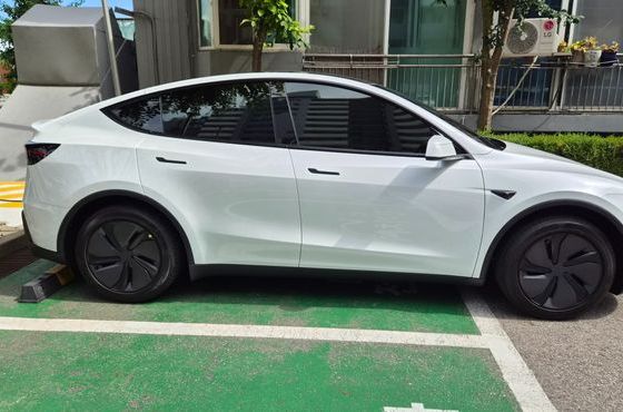 Tesla Model Y Premium RWD — пробег 720 км — фото 3 из 5