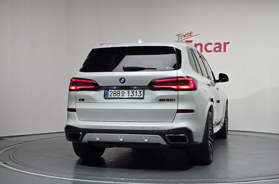 BMW X5 M50i — пробег 66 101 км — фото 4 из 5