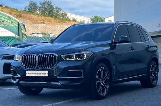BMW X5 xDrive 40i xLine — пробег 46 454 км — фото 1 из 5