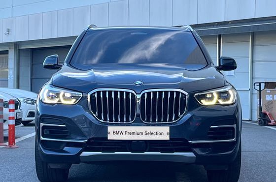 BMW X5 xDrive 40i xLine — пробег 46 454 км — фото 3 из 5