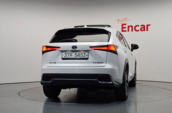 Lexus NX Executive — пробег 53 985 км — фото 4 из 5