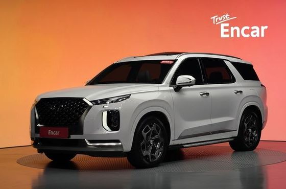 Hyundai Palisade Diesel 2.2 4WD Calligraphy — пробег 48 724 км — фото 1 из 5