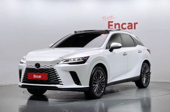 Lexus RX Luxury — пробег 8 441 км — фото 1 из 5