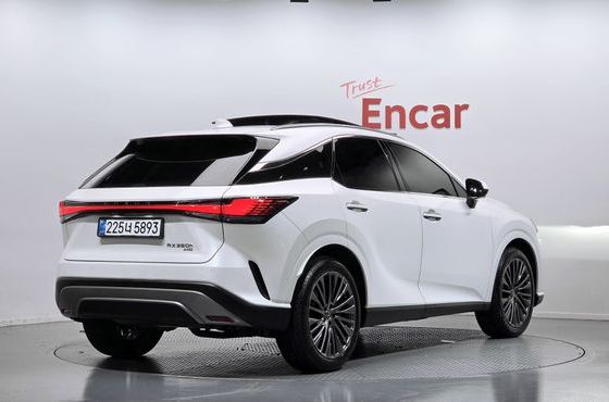 Lexus RX Luxury — пробег 8 441 км — фото 2 из 5
