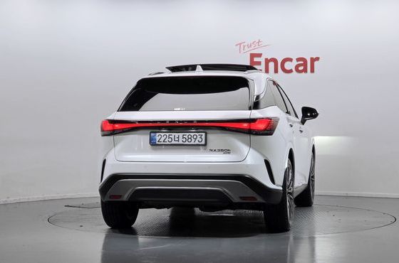 Lexus RX Luxury — пробег 8 441 км — фото 4 из 5