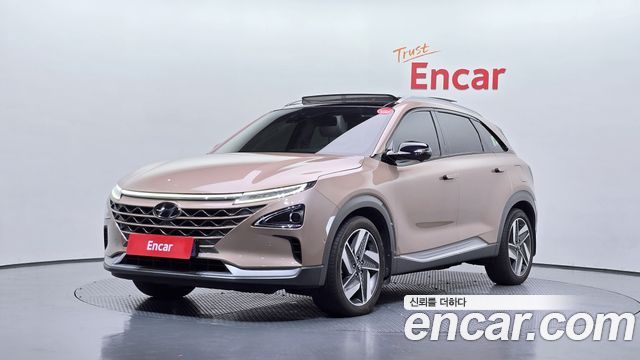 Hyundai Nexo Premium — пробег 114 463 км — фото 1 из 5