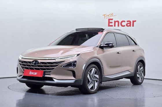 Hyundai Nexo Premium — пробег 114 463 км — фото 1 из 5