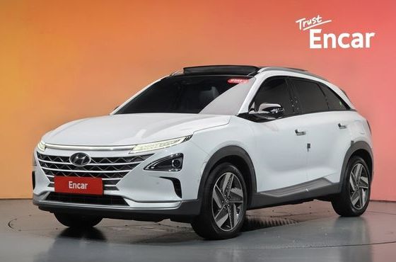 Hyundai Nexo Premium — пробег 60 284 км — фото 1 из 5