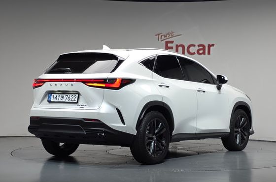 Lexus NX Premium — пробег 13 371 км — фото 2 из 5