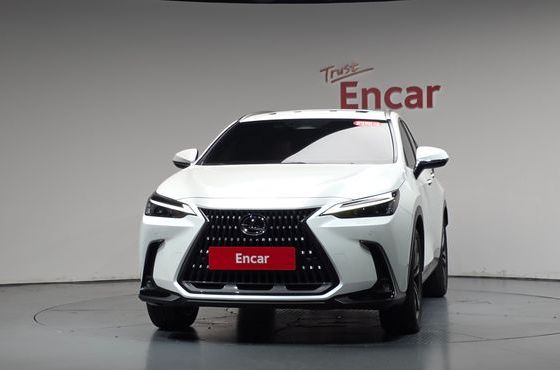 Lexus NX Premium — пробег 13 371 км — фото 3 из 5