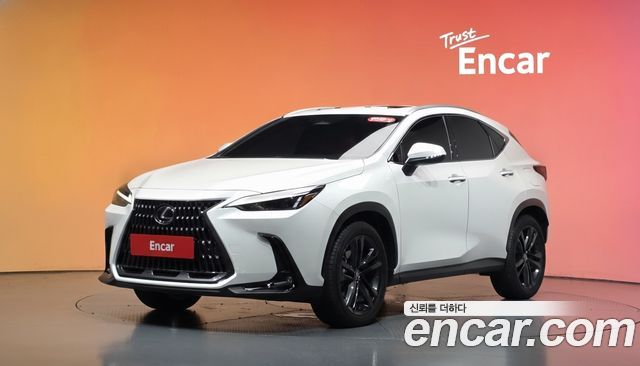 Lexus NX Premium — пробег 13 371 км — фото 1 из 5