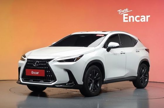 Lexus NX Premium — пробег 13 371 км — фото 1 из 5