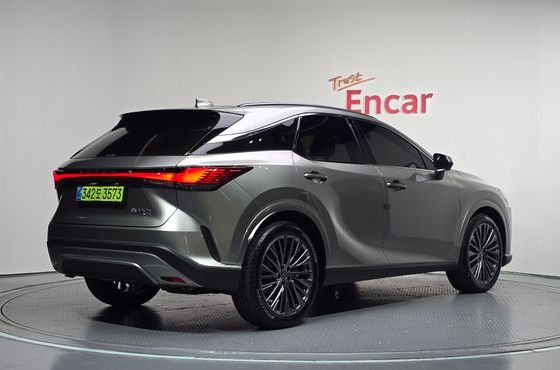 Lexus RX Luxury — пробег 13 688 км — фото 2 из 5