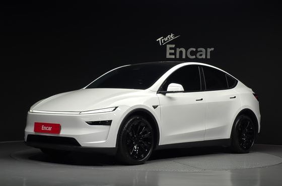 Tesla Model Y Long Range AWD — пробег 28 251 км — фото 1 из 5
