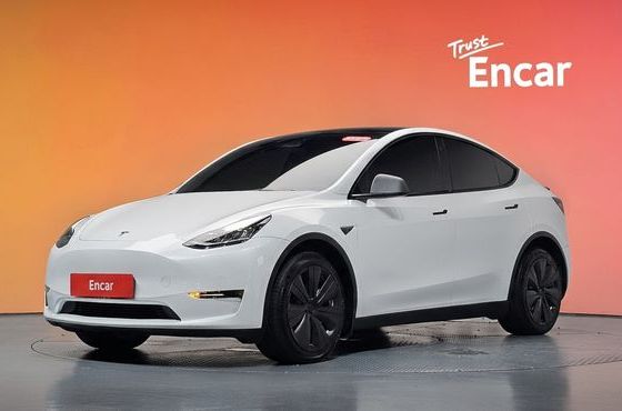 Tesla Model Y Long Range AWD — пробег 65 074 км — фото 1 из 5