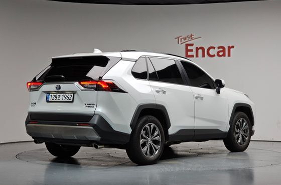 Toyota RAV4 2,5 4WD Hybrid LTD — пробег 18 546 км — фото 2 из 5