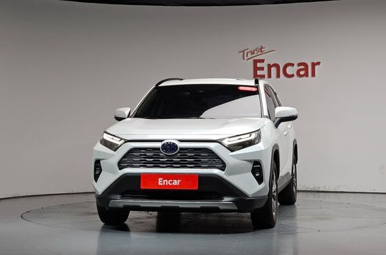 Toyota RAV4 2,5 4WD Hybrid LTD — пробег 18 546 км — фото 3 из 5