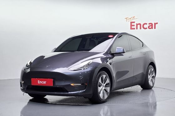 Tesla Model Y Long Range AWD — пробег 89 976 км — фото 1 из 5