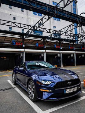 Ford Mustang Convertible — пробег 55 400 км — фото 1 из 5